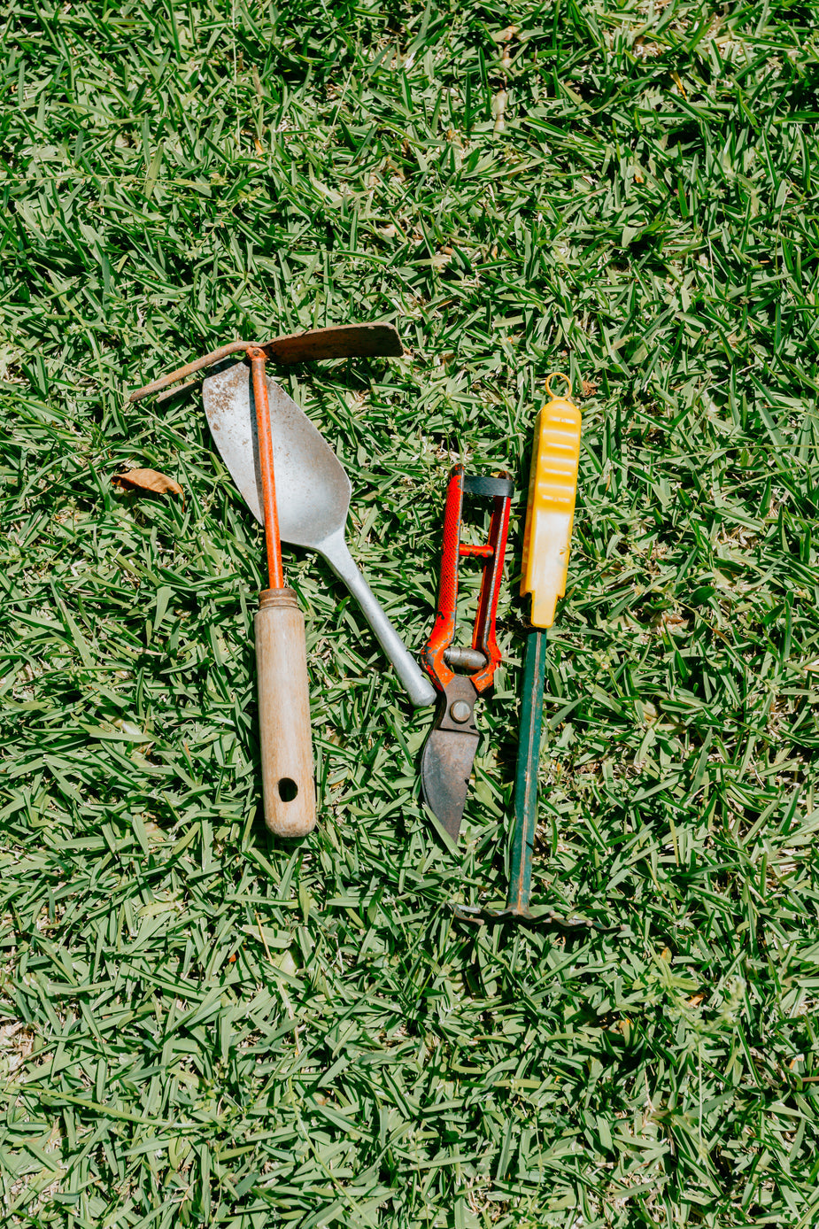 The Gardener's Essential Toolkit: A Guide to Must-Have Garden Tools