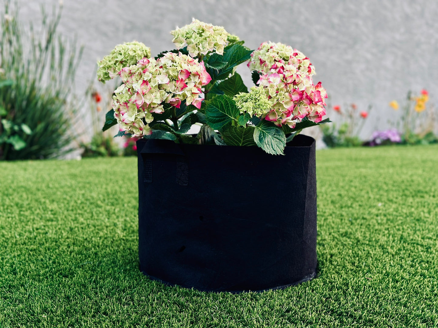 Eco Pack Planter Bag 30 Liters Green HDPE 2 Handles | Inaexport